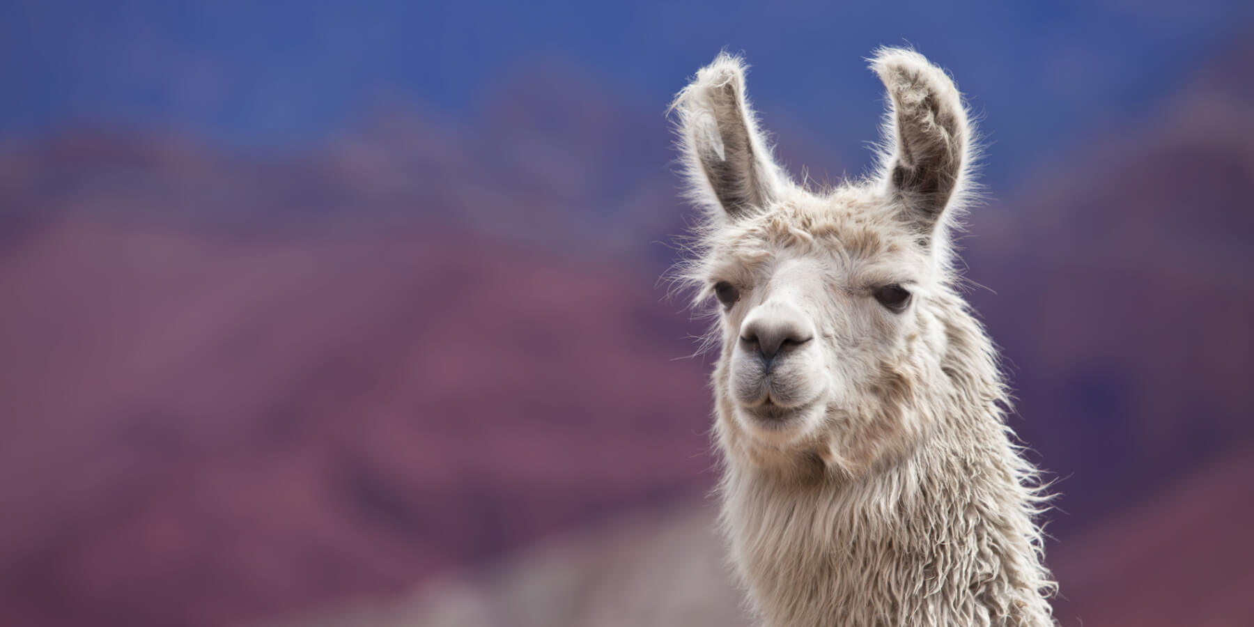 Перу в июне 2026