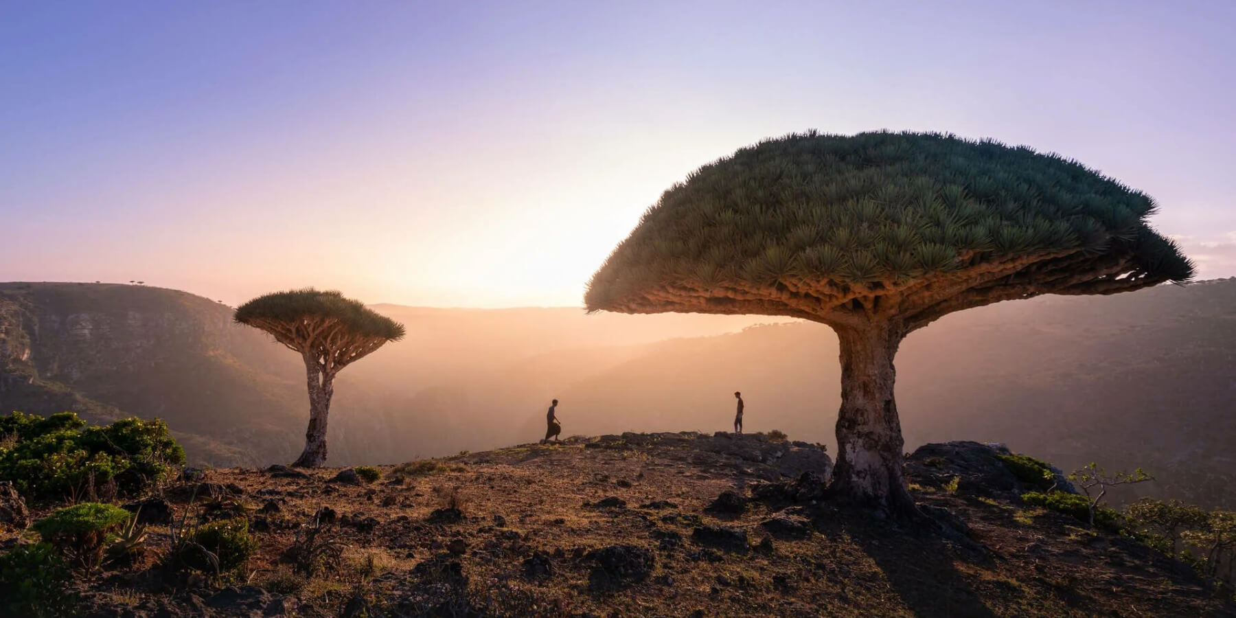 Сокотра в марте