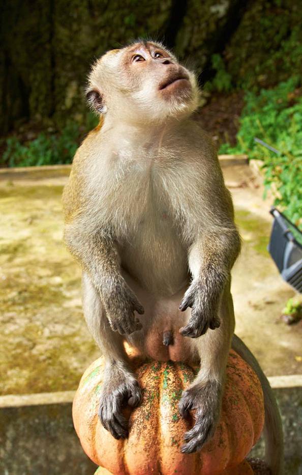 Достопримечательности Куала Лумпура