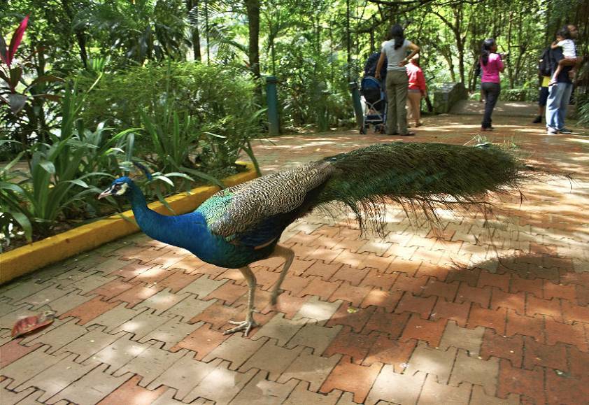 Достопримечательности Куала Лумпура