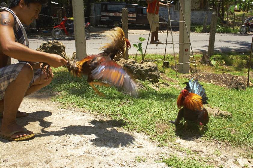 Похоже на жаре совсем озверели ) Похоже на жаре совсем озверели )