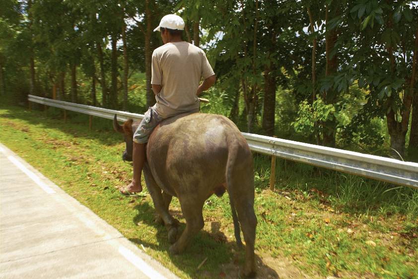 Кадр с мотоцикла