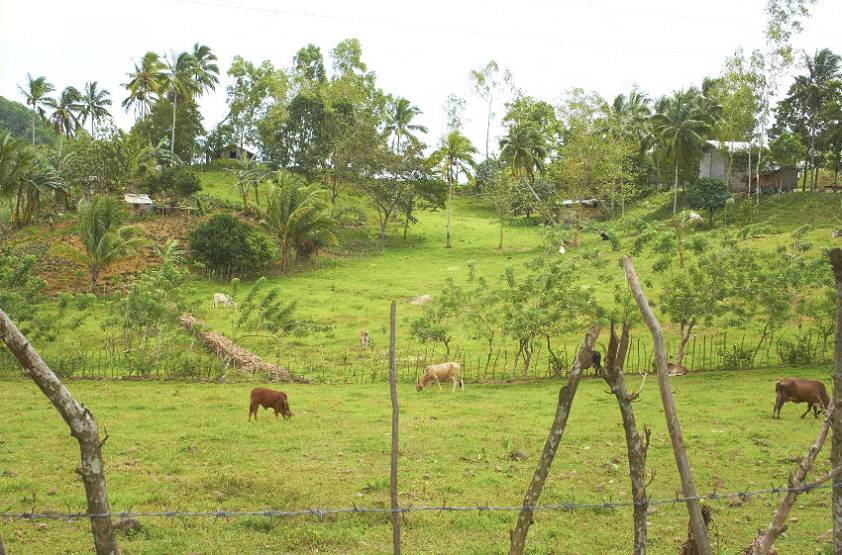 Негрос Филиппины