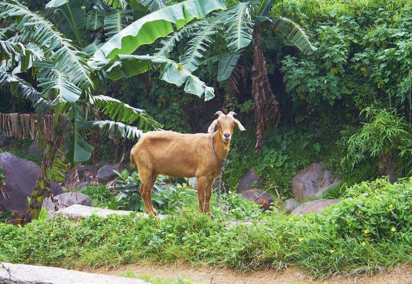 Неожиданная встреча для обоих ) Неожиданная встреча для обоих )