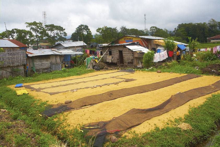Домашнее хозяйство