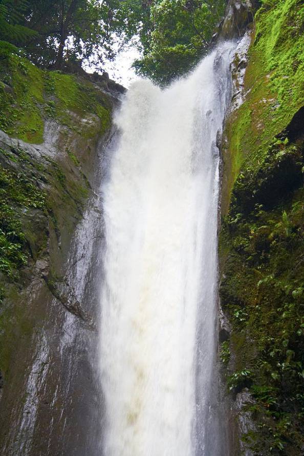 На фотке он не кажется крупным - на самом деле это не так