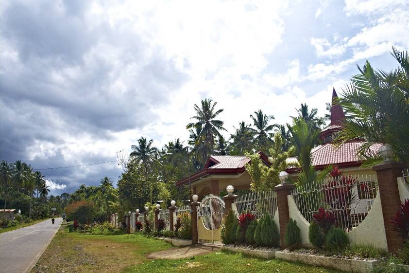 Дорога к центру по разведению орлов Дорога к центру по разведению орлов