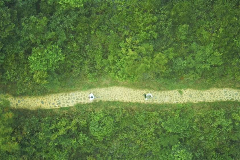 Прозрачное дно