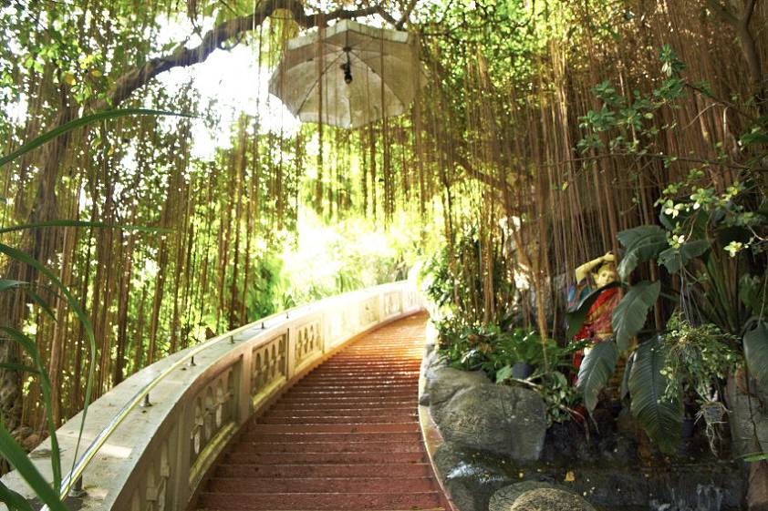 По таким живописным ступенькам вы начинаете свой подъем По таким живописным ступенькам вы начинаете свой подъем