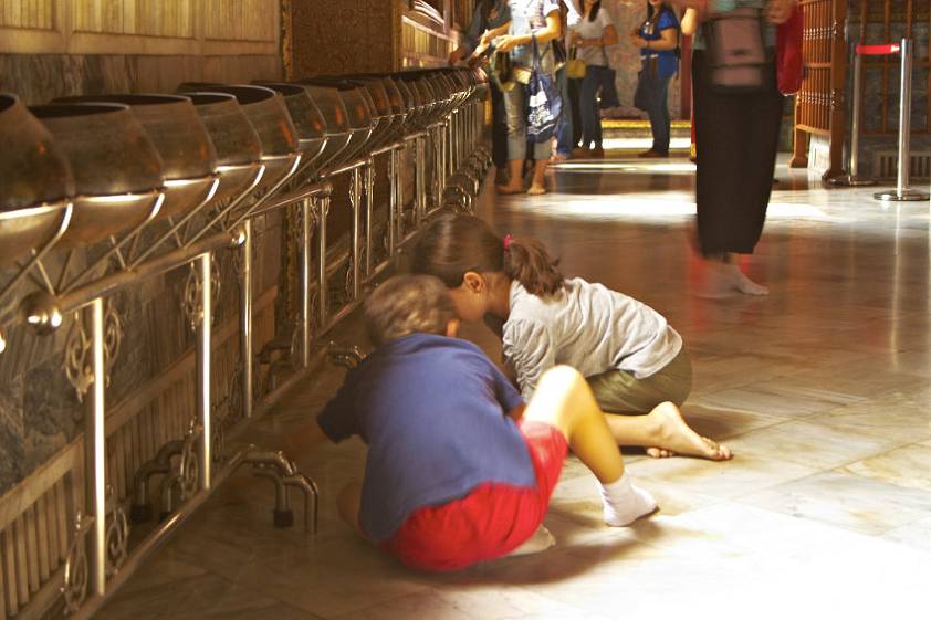 Австралийские дети приватизируют пожертвования Австралийские дети приватизируют пожертвования