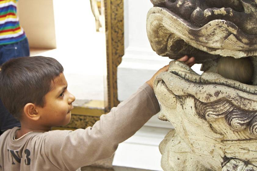 Пытается шарик стырить... Пытается шарик стырить...