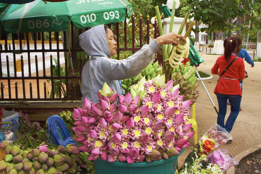Не в курсе, что за фрукт? ))) Не в курсе, что за фрукт? )))
