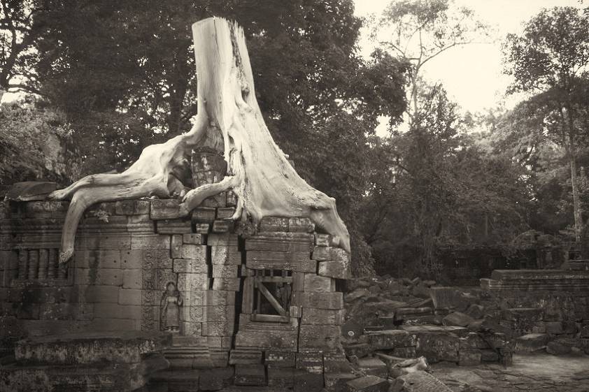 Деревья здесь вообще не стесняются где расти ) Деревья здесь вообще не стесняются где расти )