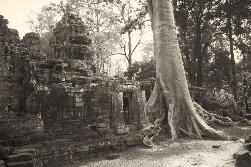 Очередные развалины Та Прум Очередные развалины Та Прум