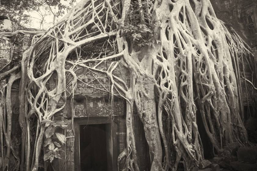 Все таки природа сильнее любой цивилизации Все таки природа сильнее любой цивилизации