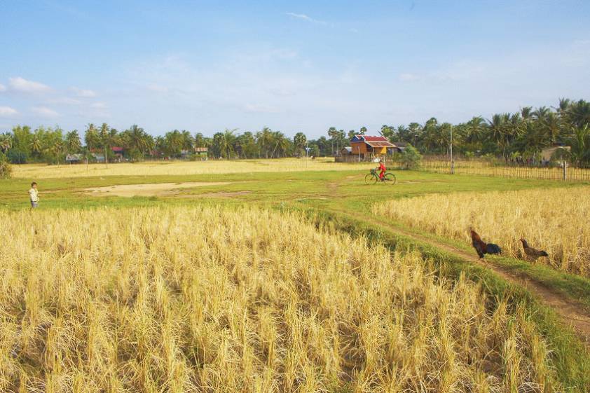 Чем то Россию напоминает ) Чем то Россию напоминает )