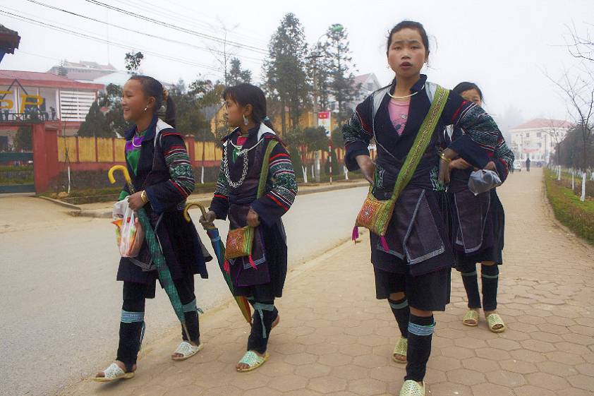 Молодые хмонги ищут покупателей Молодые хмонги ищут покупателей