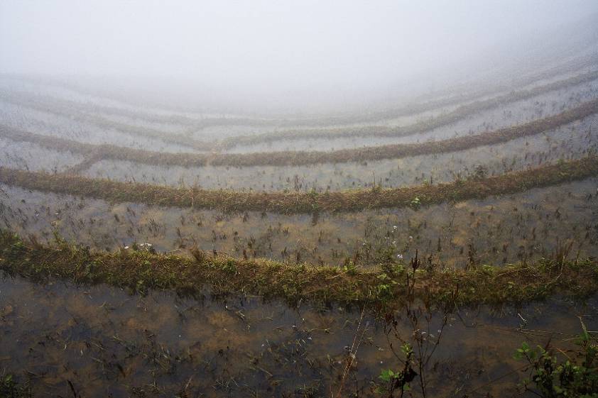 Рисовые террасы ))) Рисовые террасы )))