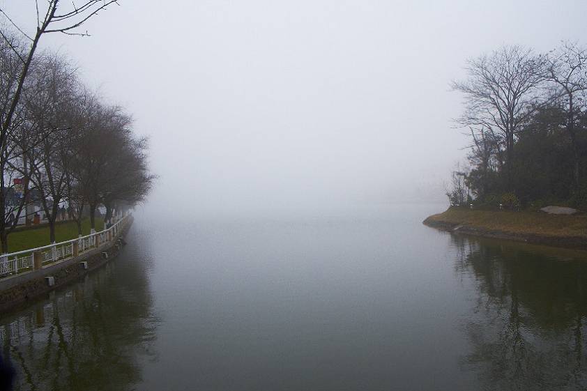 Озеро в самом центре города Озеро в самом центре города