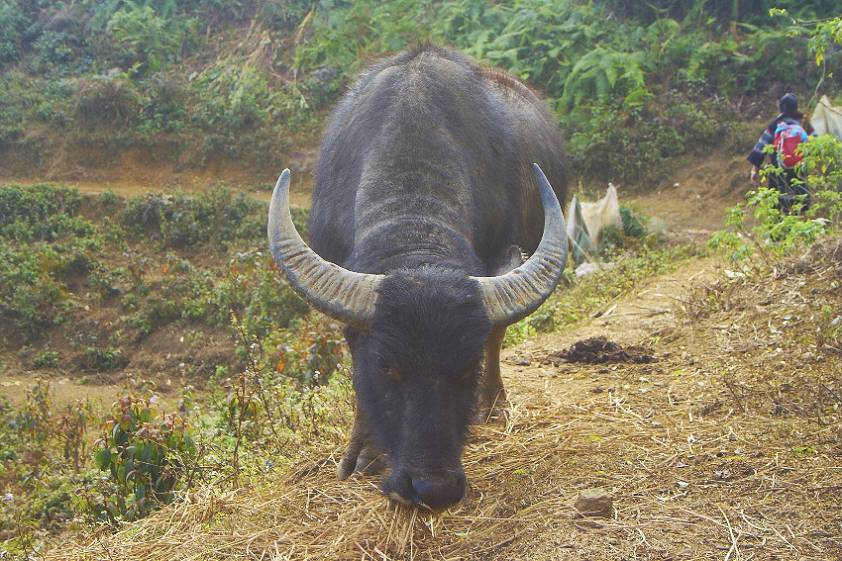 Такие ребята здесь встречаются часто ) Такие ребята здесь встречаются часто )