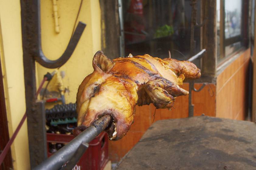 Бедняга, а ведь совсем молодой был ))) Бедняга, а ведь совсем молодой был )))