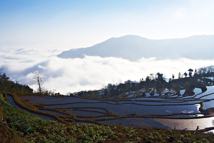 Достопримечательности. Рисовые террасы