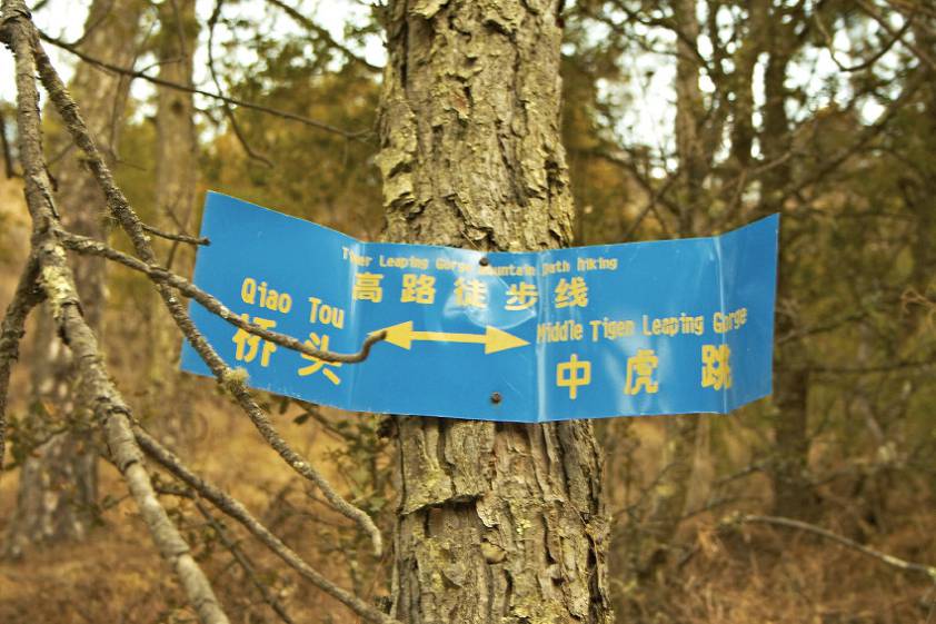 Таблички, для тех кто не хочет заблудиться Таблички, для тех кто не хочет заблудиться