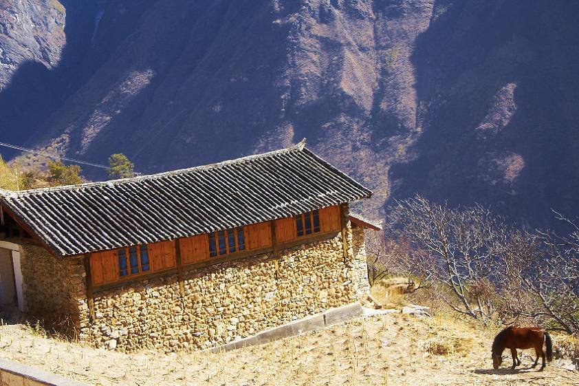 Лошадь как символ популярного геста ) Лошадь как символ популярного геста )