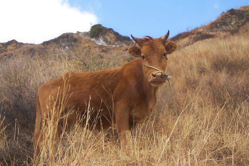 Не поняла, что я тут забыл Не поняла, что я тут забыл