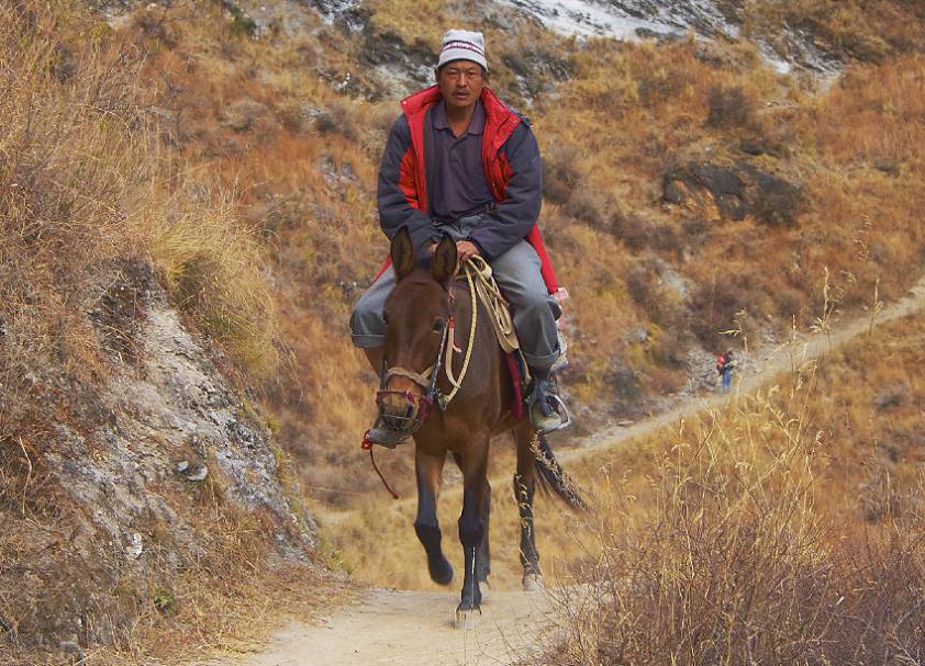 Иногда по пути попадались местные жители Иногда по пути попадались местные жители