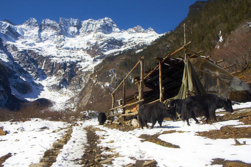 Вот такие ребята попадаются по пути Вот такие ребята попадаются по пути