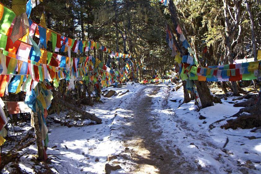 Участок дороги на высоте около 3800 метров Участок дороги на высоте около 3800 метров