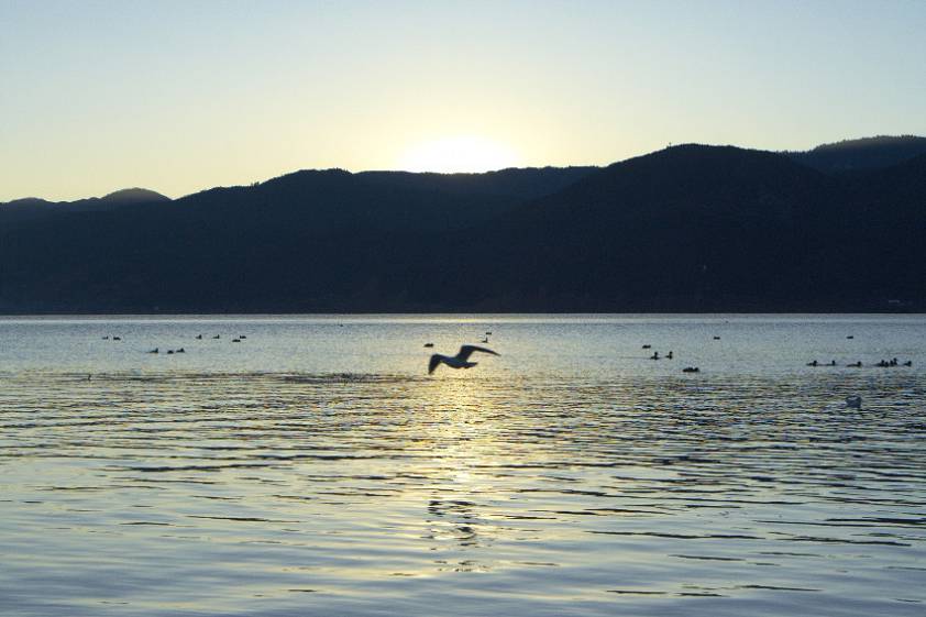 Проснулись люди, проснулись и чайки )