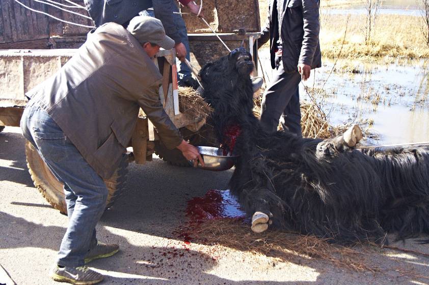 Рассмотрим "убийство" поэтапно ) Рассмотрим "убийство" поэтапно )