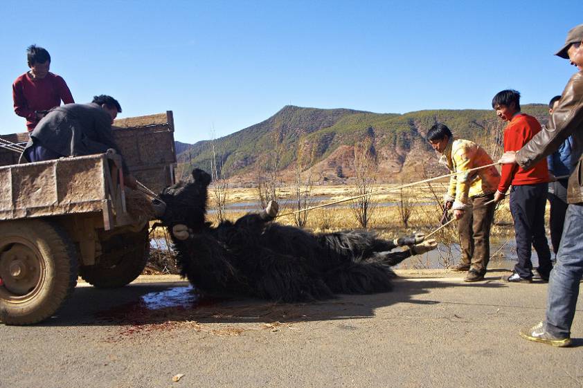 растягиваем... растягиваем...
