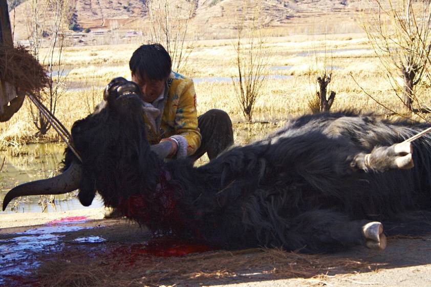 Режем, с остервенелым лицом Режем, с остервенелым лицом