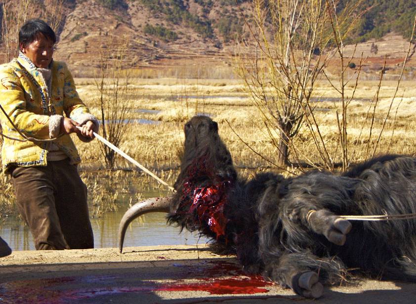 тянем тянем