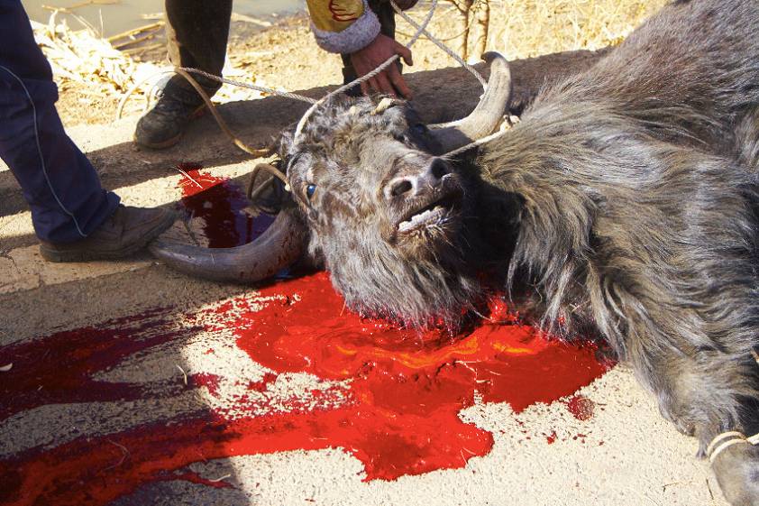 дело сделано... дело сделано...