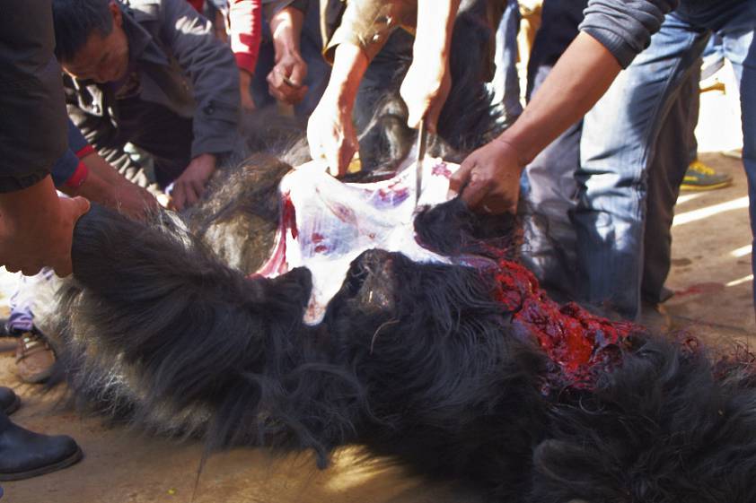 ... и разделываем на кусочки ... и разделываем на кусочки