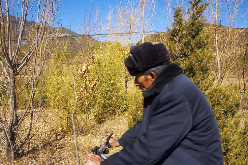 просто дед на велике )