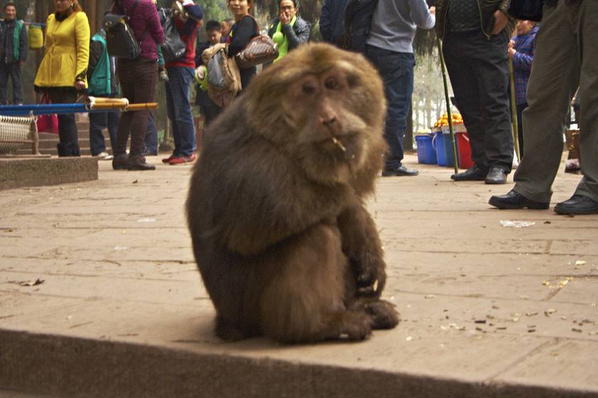 Таких ребят на горе полным-полно