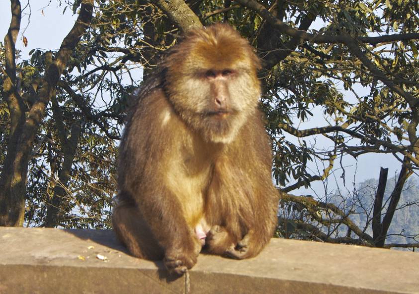 грустный паренек, наверное, еды не досталось )