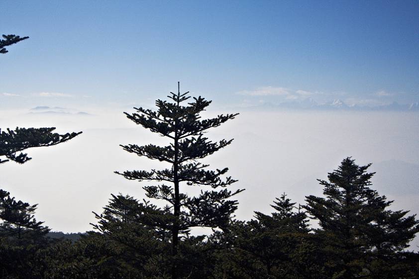 красивое место )