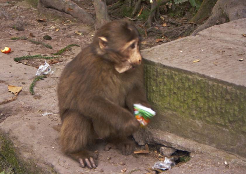 С лицом явно что то не так )