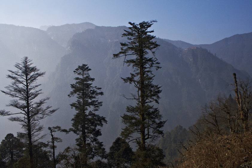 виды по пути