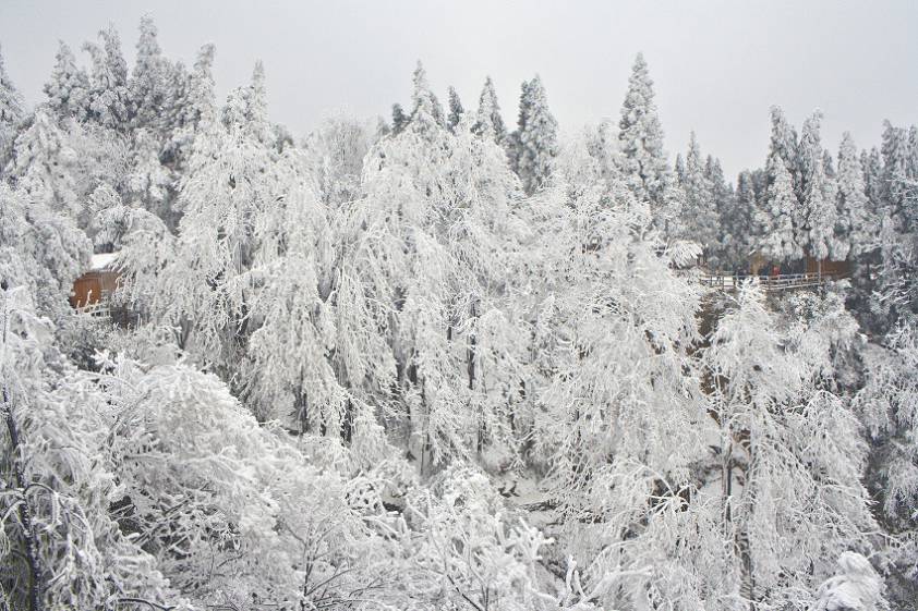 Парк Аватар