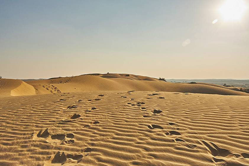 Сафари в Джайсалмере, Индия