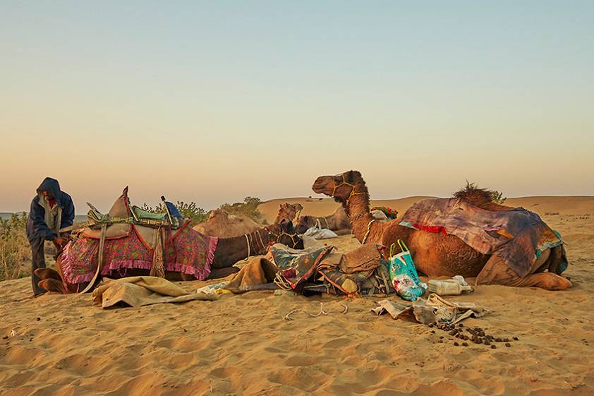 Разбиваем лагерь Разбиваем лагерь