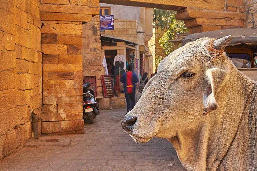 Гуляем по улицам старинного города