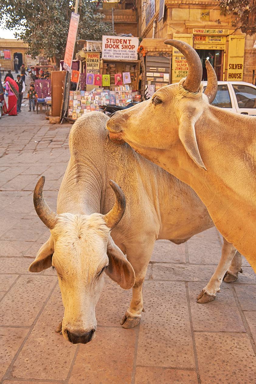Гуляем по улицам старинного города